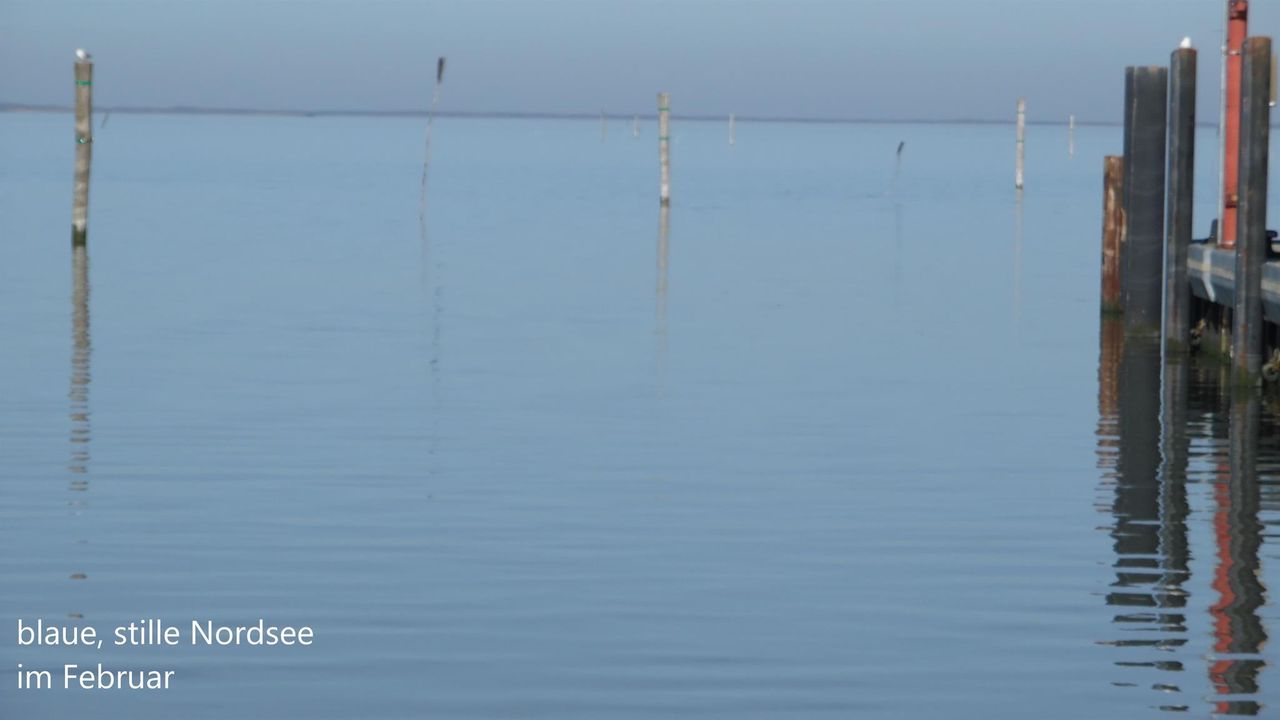 stille Nordsee 31 stille Nordsee 31